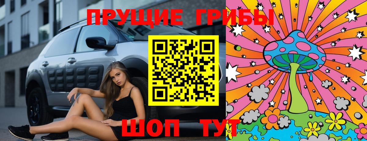 Псилоцибиновые грибы Psilocybe Вязники