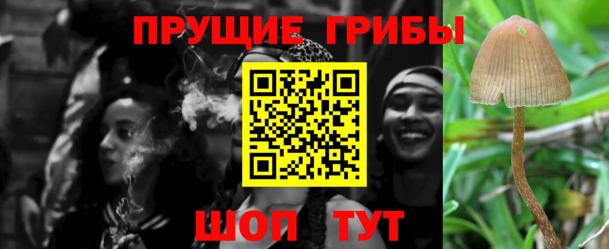 Галлюциногенные грибы прущие грибы  продажа наркотиков  Вязники  Вход с VPN 